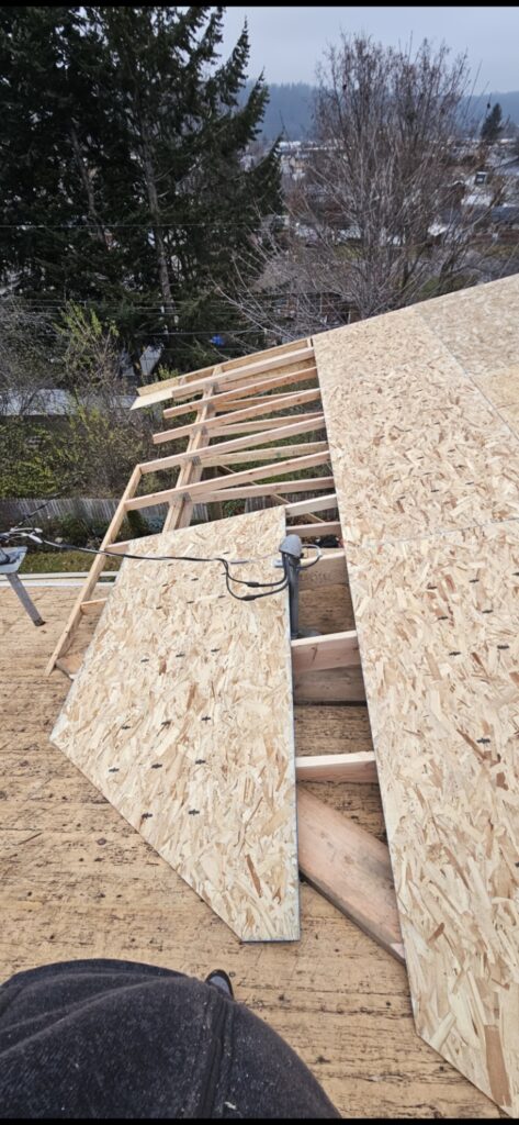 Made a roof for the deck