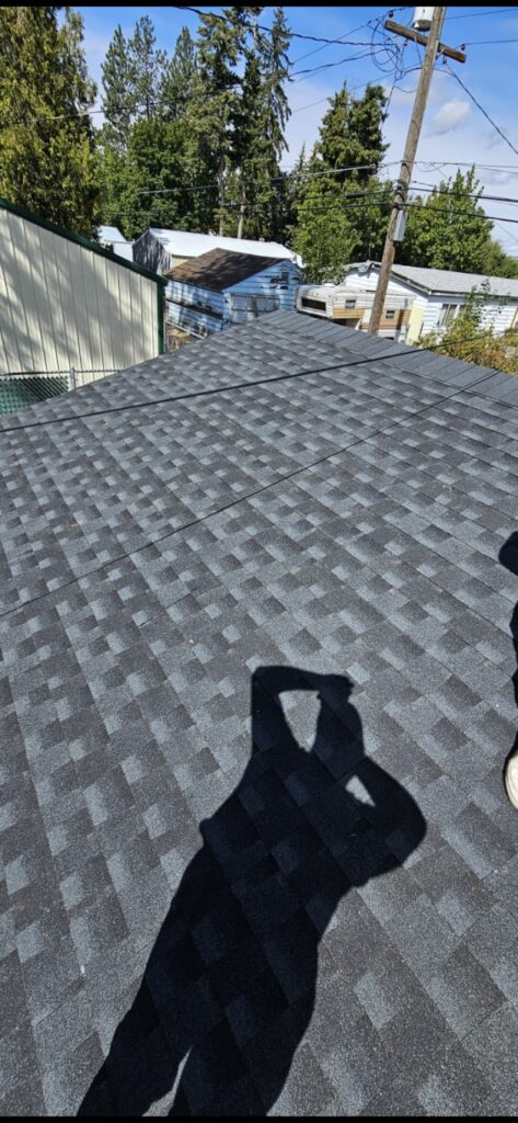 Roof